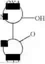 Fig. 23 - Cyclometalated transition metal complex and organic electroluminescence device using the same