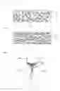 Fig. 02 - Composite magnetic sheet and production method thereof