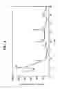 Fig. 05 - Catalyst for a water gas shift for a fuel cell system, a method of preparing the same, and a fuel cell system including the same