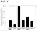 Fig. 04 - Polymer electrolyte membrane, method of preparing the same and fuel cell including the same