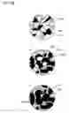 Fig. 06 - Negative active material for rechargeable lithium battery, method of preparing same, and rechargeable lithium battery including same