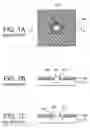 Fig. 02 - Pattern forming method and phase shift mask manufacturing method