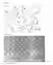 Fig. 03 - Lithographic printing original plate and lithographic printing plate