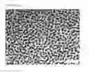 Fig. 04 - Lithographic printing original plate and lithographic printing plate