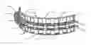 Fig. 01 - Arch bar