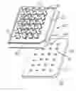 Fig. 01 - Capsule and tray systems for combined sample collection, archiving, purification, and PCR