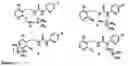 Fig. 02 - Method and compositions for identifying anti-hiv therapeutic compounds
