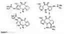Fig. 09 - Method and compositions for identifying anti-hiv therapeutic compounds