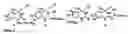 Fig. 12 - Method and compositions for identifying anti-hiv therapeutic compounds