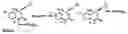 Fig. 14 - Method and compositions for identifying anti-hiv therapeutic compounds
