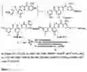 Fig. 15 - Method and compositions for identifying anti-hiv therapeutic compounds