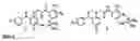 Fig. 16 - Method and compositions for identifying anti-hiv therapeutic compounds