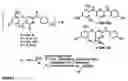 Fig. 17 - Method and compositions for identifying anti-hiv therapeutic compounds