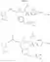 Fig. 441 - Method and compositions for identifying anti-hiv therapeutic compounds