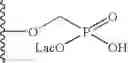 Fig. 720 - Method and compositions for identifying anti-hiv therapeutic compounds