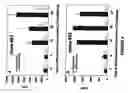 Fig. 06 - Assay for identifying compounds which affect stability of mrna
