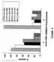 Fig. 07 - Assay for identifying compounds which affect stability of mrna