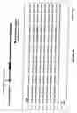 Fig. 12 - Assay for identifying compounds which affect stability of mrna