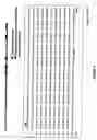 Fig. 17 - Assay for identifying compounds which affect stability of mrna
