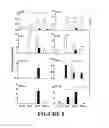 Fig. 09 - Effectors of innate immunity