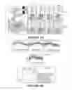 Fig. 10 - Effectors of innate immunity