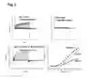 Fig. 03 - Rat KCNQ5 voltage-gated potassium channel