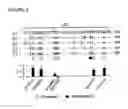 Fig. 04 - Novel binding site for retigabine on KCNQ5