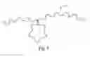 Fig. 05 - Systems and methods of analyzing nucleic acid polymers and related components