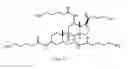 Fig. 01 - Cationic Steroid Antimicrobial Compositions and Methods of Use