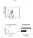 Fig. 02 - ELEMENT-TAGGED OLIGNUCLEOTIDE GENE EXPRESSION ANALYSIS