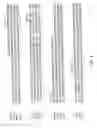 Fig. 02 - Regulatory segments of the human gene for telomerase reverse transcriptase