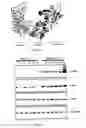 Fig. 04 - Regulatory segments of the human gene for telomerase reverse transcriptase