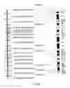 Fig. 08 - Regulatory segments of the human gene for telomerase reverse transcriptase