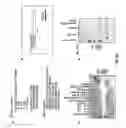 Fig. 65 - Regulatory segments of the human gene for telomerase reverse transcriptase