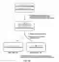 Fig. 79 - Regulatory segments of the human gene for telomerase reverse transcriptase
