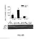 Fig. 11 - Method of detecting the presence of asthma or allergies in a patient