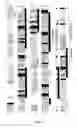 Fig. 03 - Mitogenic oxygenase regulators