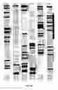 Fig. 04 - Mitogenic oxygenase regulators