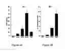 Fig. 05 - Platelet surface PF4 antigenic complexes as a diagnostic indicator in heparin-induced thrombocytopenia