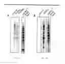 Fig. 05 - Oligosaccharide modification and labeling of proteins
