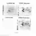 Fig. 07 - Oligosaccharide modification and labeling of proteins