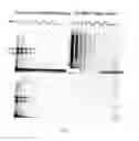 Fig. 08 - Oligosaccharide modification and labeling of proteins