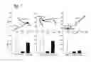 Fig. 12 - Mechanosensitive ion channels and methods of use