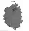 Fig. 04 - Mutant protein having the peptide-synthesizing activity