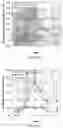 Fig. 05 - Long-acting EPO polypeptides and derivatives thereof and methods thereof