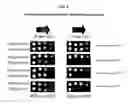 Fig. 31 - Essential fungal CaYLR100w polypeptides, and methods of use