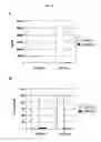 Fig. 59 - Essential fungal CaYLR100w polypeptides, and methods of use