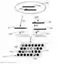 Fig. 01 - Methods and compositions for detecting viral nucleic acid in a cell