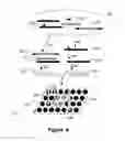 Fig. 03 - Methods and compositions for detecting viral nucleic acid in a cell