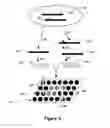 Fig. 05 - Methods and compositions for detecting viral nucleic acid in a cell